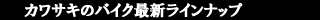 �o�C�N�̃��C���i�b�v
